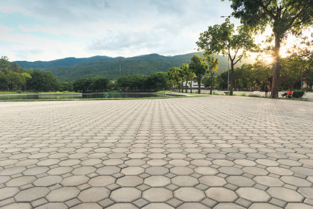 Best Driveway Paver Repair  in Monticello, IL